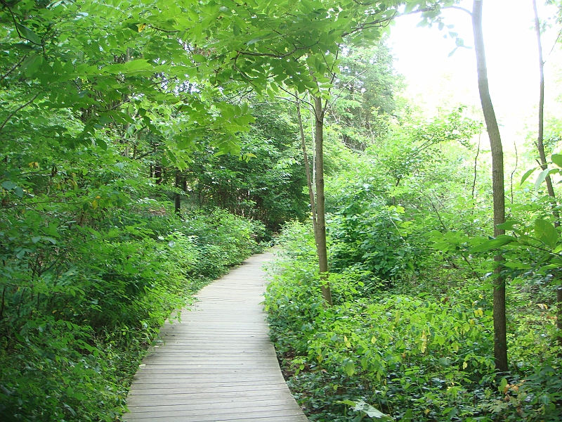 066 Longwood Gardens [2008 August 23].JPG - Longwood Gardens in Pennsylvania